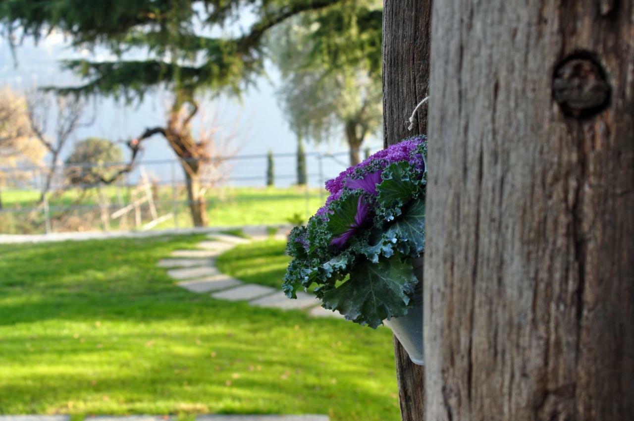 B&B La Cassinella Cernobbio Zewnętrze zdjęcie